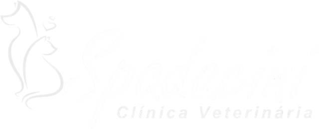 Spadacini Veterinária